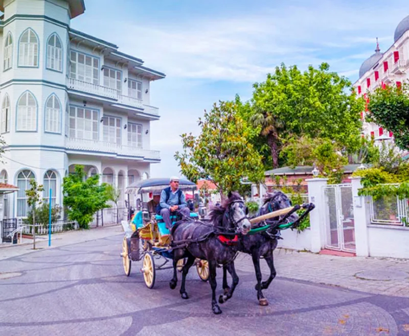 تفریح در کوچه باغ&zwnj;های تاریخی جزیره