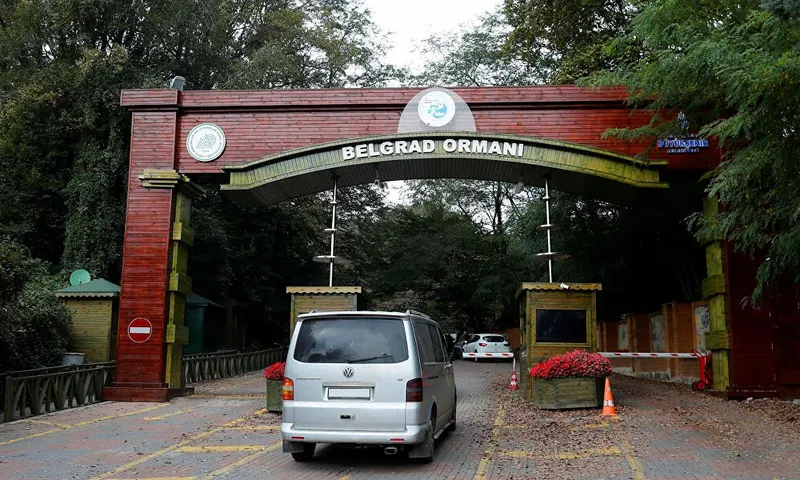  دسترسی به جلگل&zwnj;های بلگراد با تاکسی