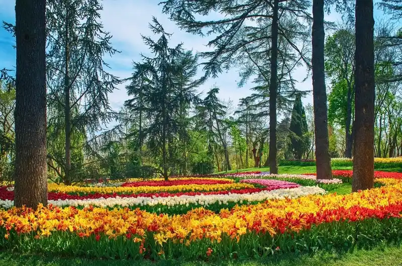 پارک امیرگان استانبول