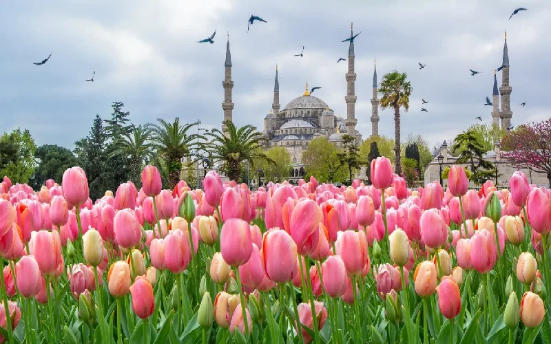 بهار بهترین زمان&zwnj;ها برای بازدید از استانبول 