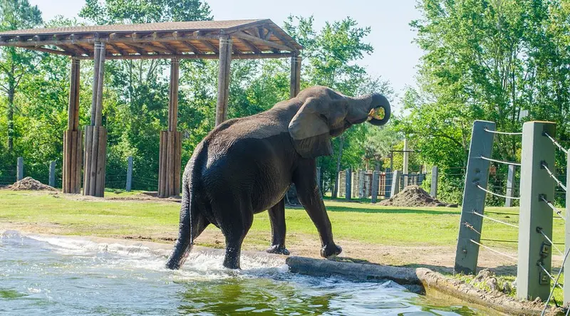  باغ وحش فاروک یالچین