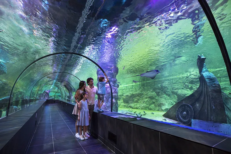  آکواریوم ویاسی