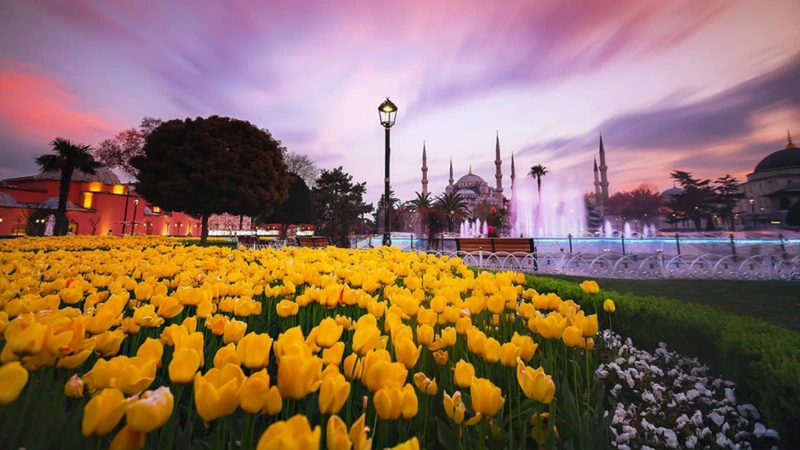 لذت قدم&zwnj;زدن در کنار صدها گل لاله در نوروز استانبول