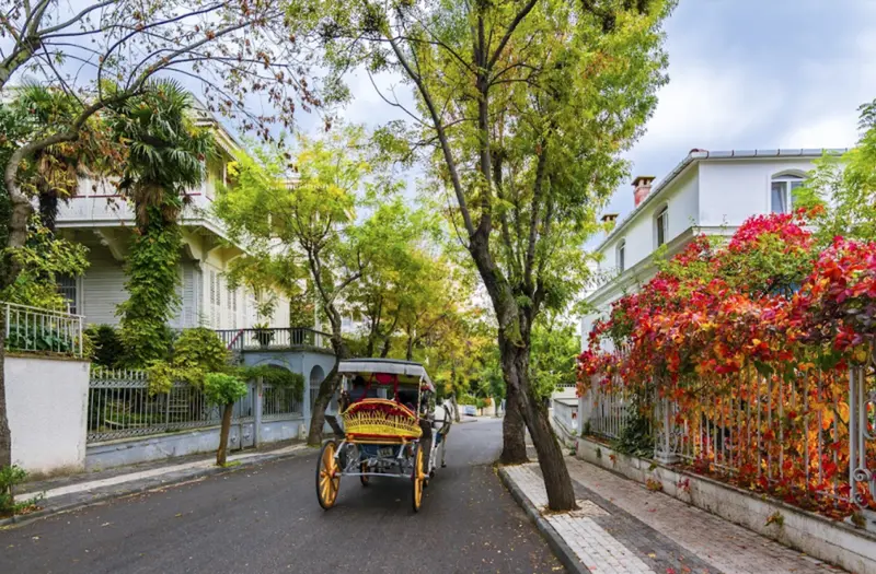 گشت&zwnj;و&zwnj;گذار در جزایر پرنس؛ یکی از بهترین تفریحات نوروزی استانبول