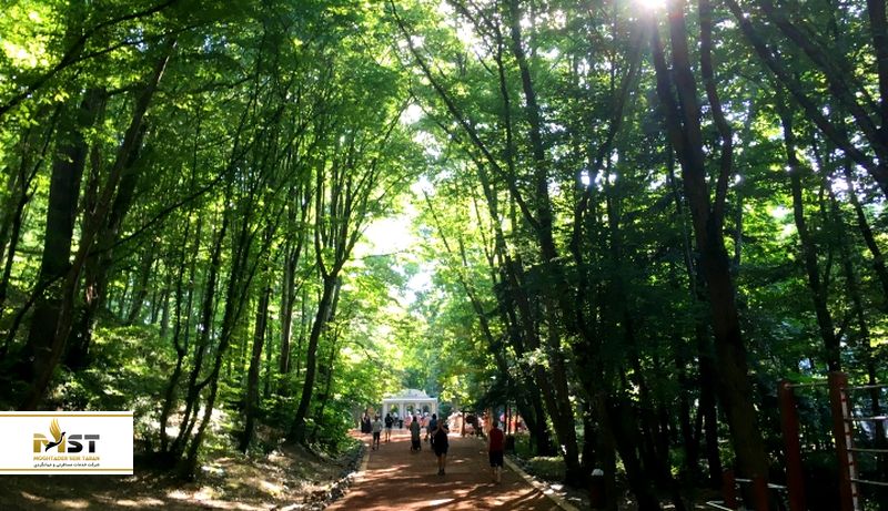 جنگل بلگراد استانبول