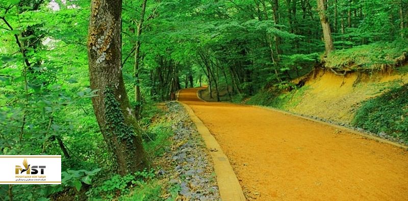 جنگل بلگراد استانبول