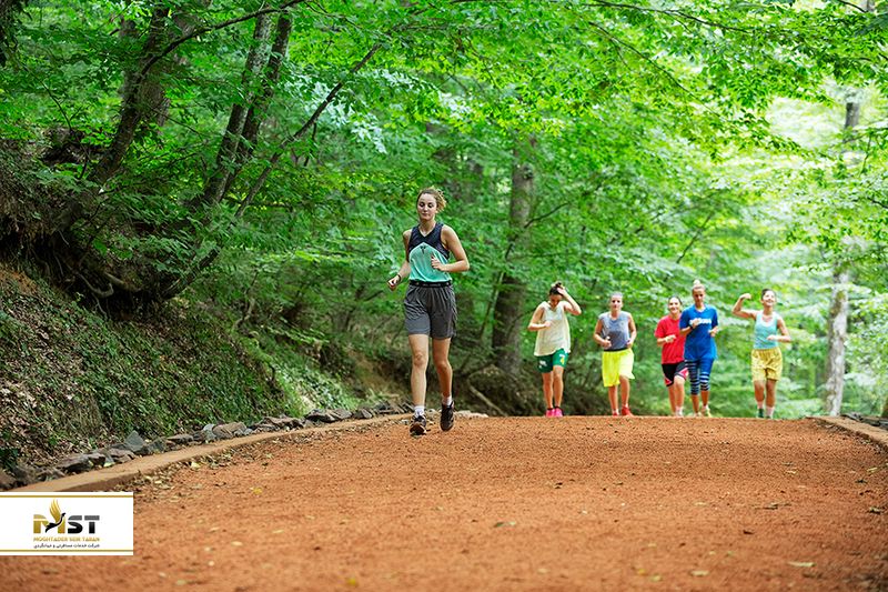 جنگل بلگراد استانبول