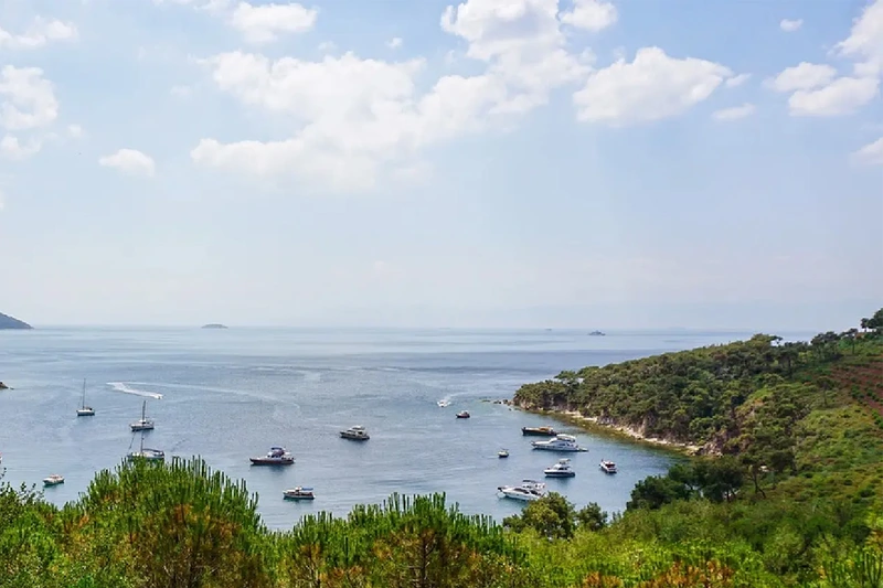  سواحل سرسبز و یک خلیج آرام در جزیره بیوک&zwnj;آدا با قایق&zwnj;های متعدد بر روی آب