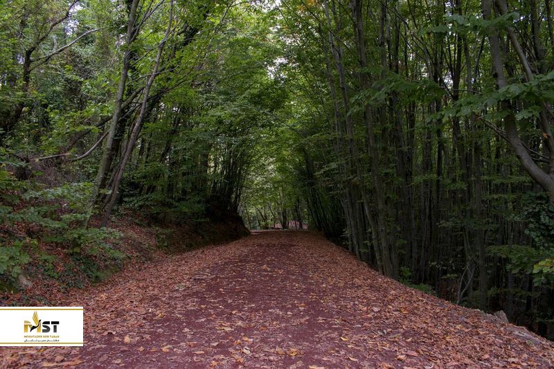 پارک طبیعی پلنزکوی