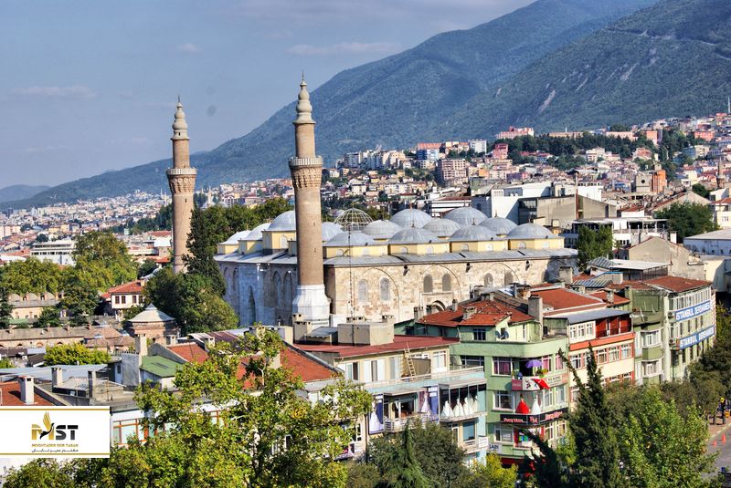Bursa