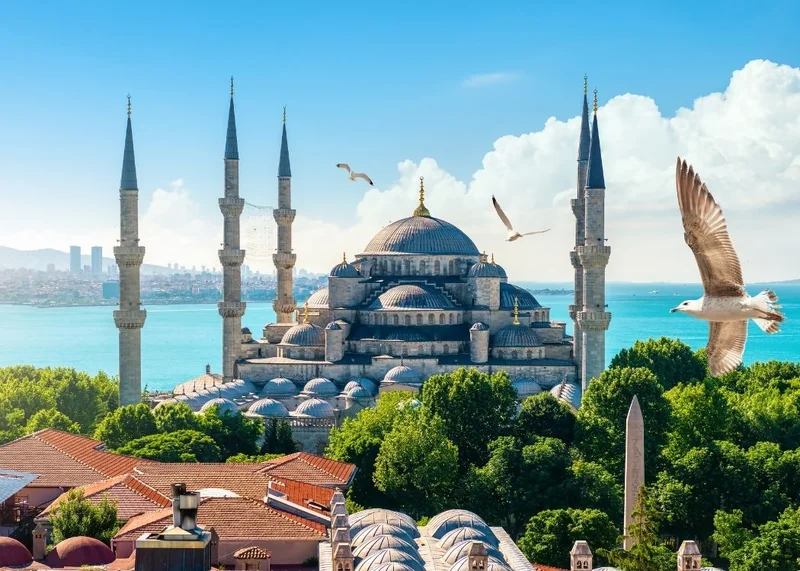  نکات بازدید از مساجد استانبول