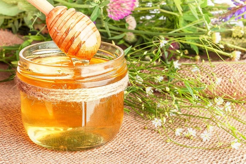 عسل ترکیه؛ شهد طبیعی از دل کوهها و دشتها