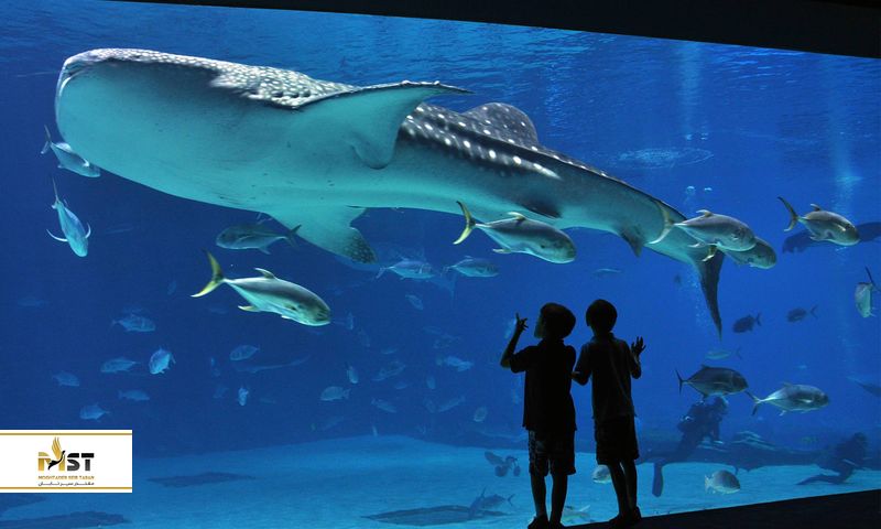 سفر زمستانه به استانبول