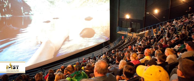 برنامه&zwnj;ها و جشنواره&zwnj;های مختلف