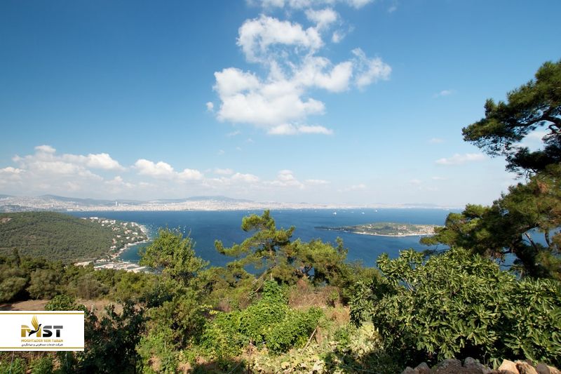 کلیسای آیایورکی