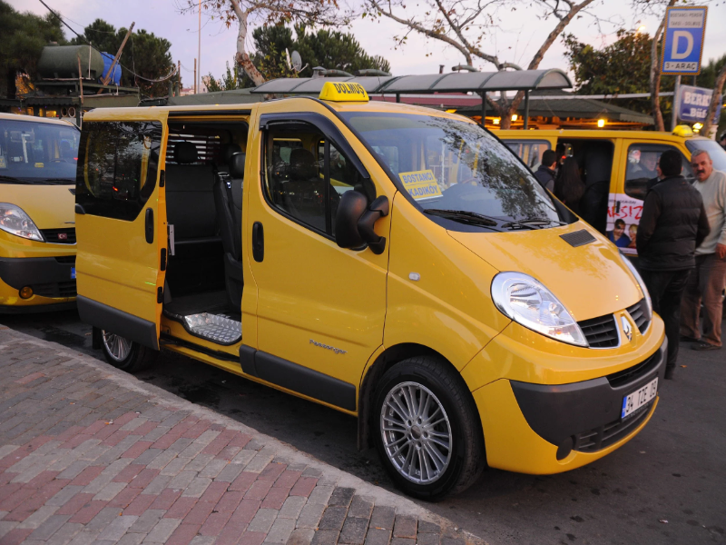  دلموش های زرد رنگ&nbsp;