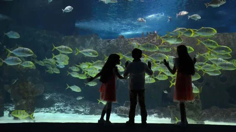 آکواریوم استانبول&nbsp; آکواریوم&zwnj;ها مانند باغ وحش&zwnj;ها، مکان محبوبی برای بچه&zwnj;ها و بزرگسالان هستند. در سفرتان به استانبول، حتماً سری به آکواریوم این شهر هم بزنید. این مراکز تفریحی کودکانه&zwnj;ی استانبول، چیزی فراتر از یک تفریح سرگرم&zwnj;کننده برایتان به همراه می&zwnj;آورند.