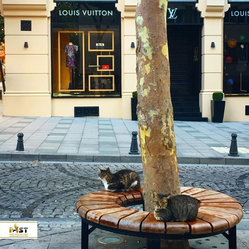 عبدی ایپکچی