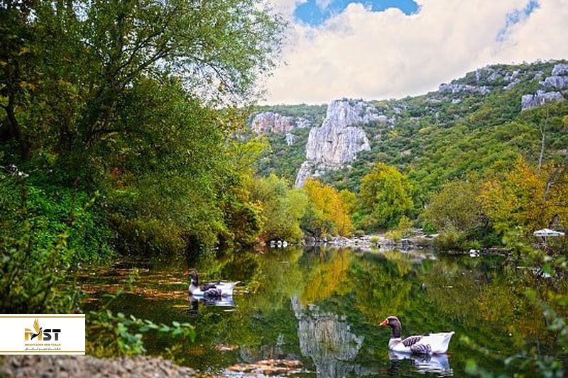 پارک جنگلی بالیکایالار
