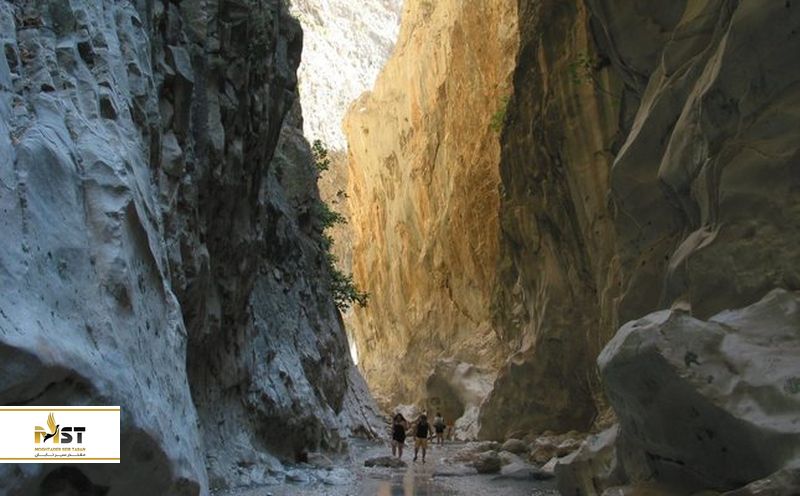 پارک جنگلی بالیکایالار