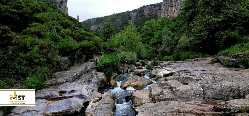 پارک جنگلی بالیکایالار