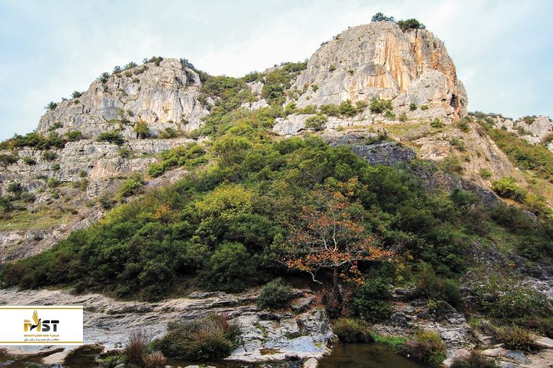 پارک جنگلی بالیکایالار