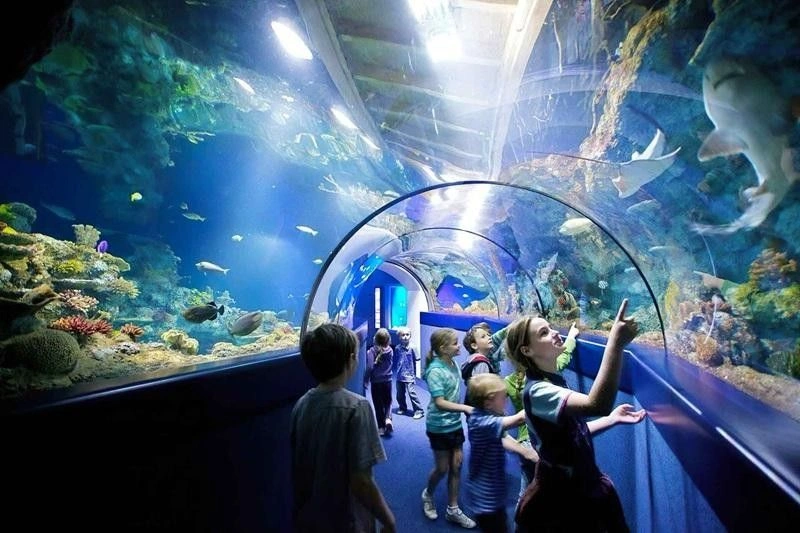 تونل شیشه&zwnj;ای آکواریوم سی&zwnj;لایف استانبول&nbsp;