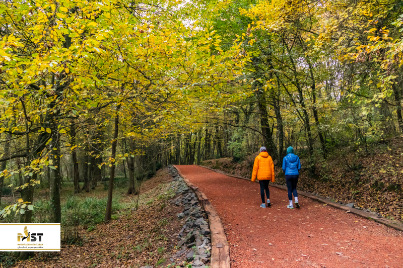 جنگل بلگراد