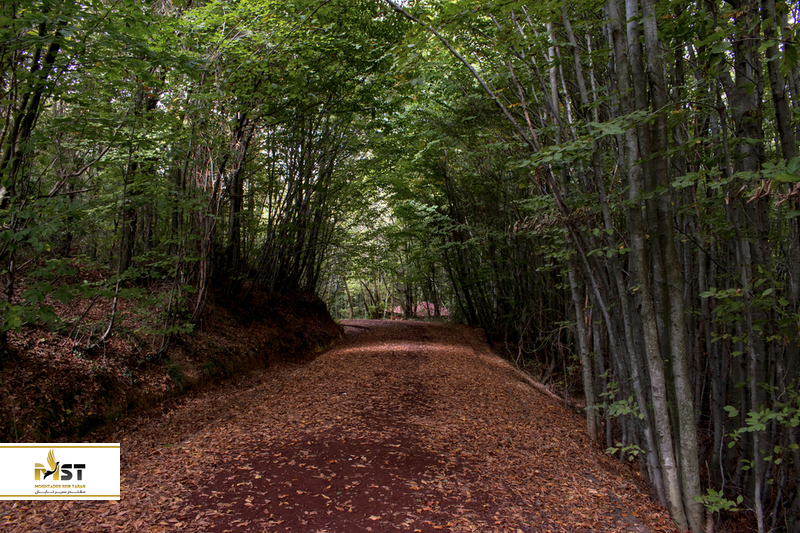 پارک ملی پولونزکوی