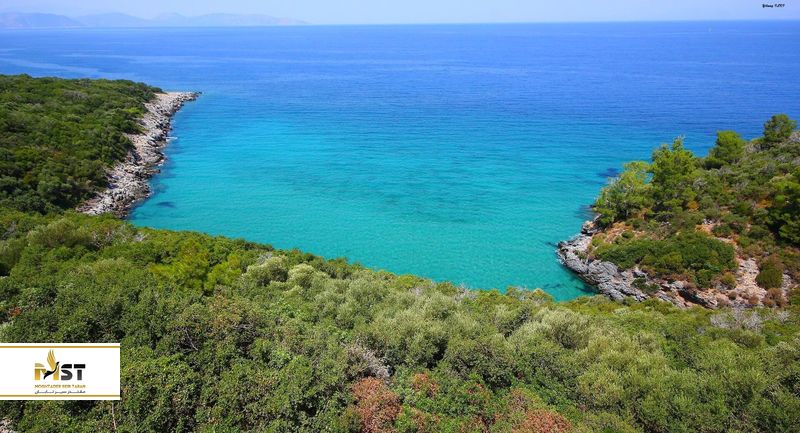 پارک ملی دلتا آیدین بیوک مندرس