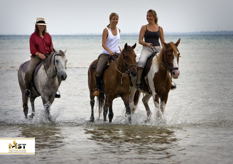 اسب&zwnj;سواری در کوش آداسی