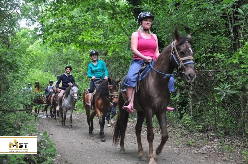 تور اسب سافاری کوش آداسی