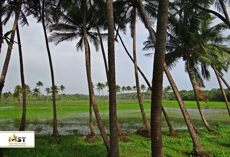 آب و هوای گوا