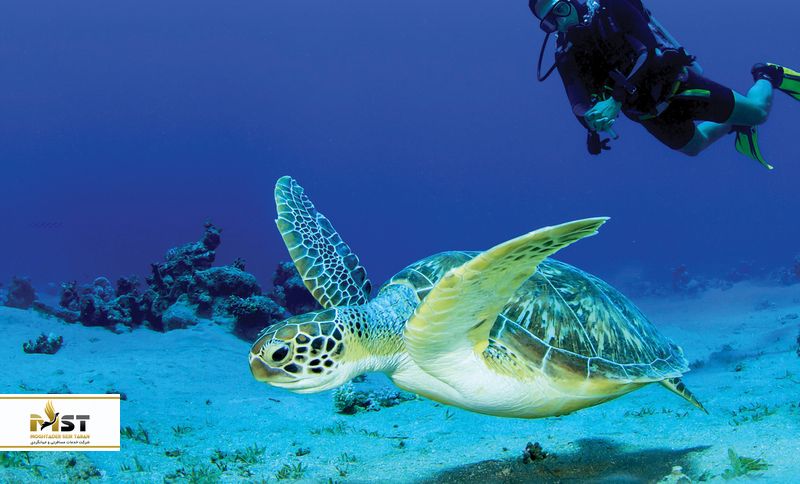 چه زمانی به قبرس شمالی سفر کنیم؟