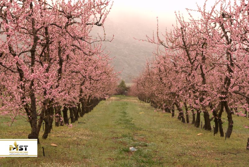 طبیعت آفریقای جنوبی