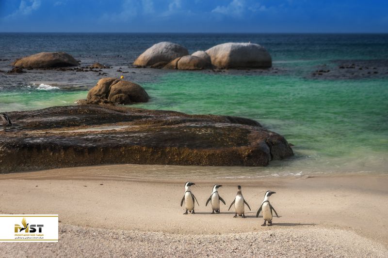 طبیعت آفریقای جنوبی