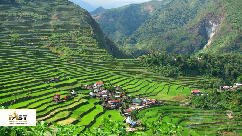 مزارع پلکانی فیلیپین