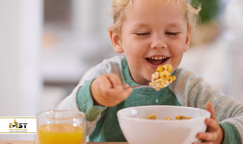 گروه غذایی مناسب کودک در سفر