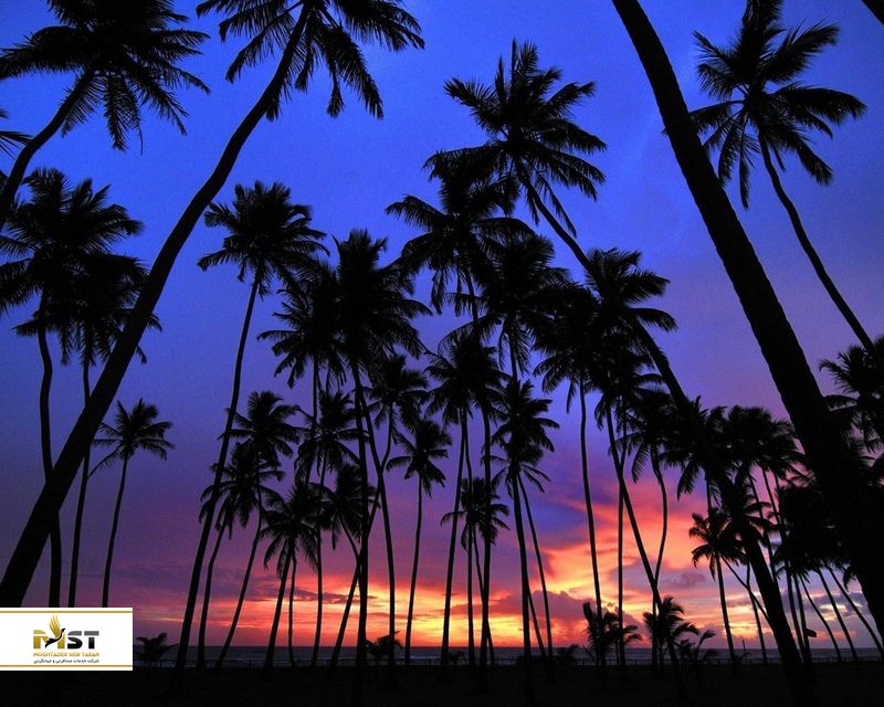 سفر به سریلانکا