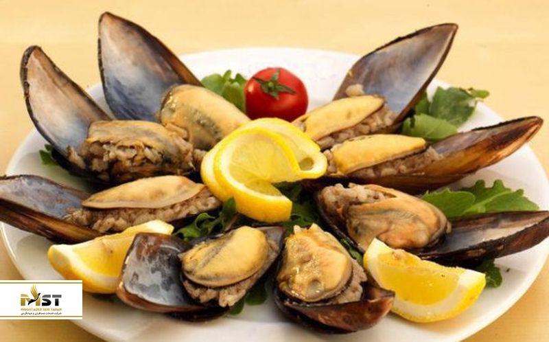 صدف دریایی میدیه