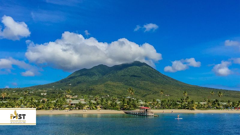 پل نویس در نیوزلند