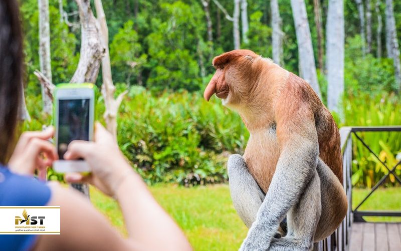  مرکز نگه&zwnj;داری پوزه دراز خلیج لابوک
