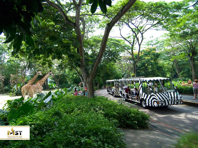 باغ وحش سنگاپور
