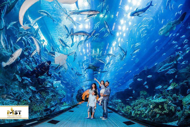 آکواریوم دبی مال