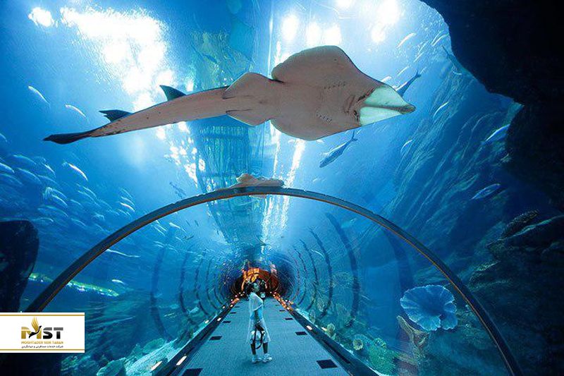 تونل آکواریوم دبی&zwnj;مال