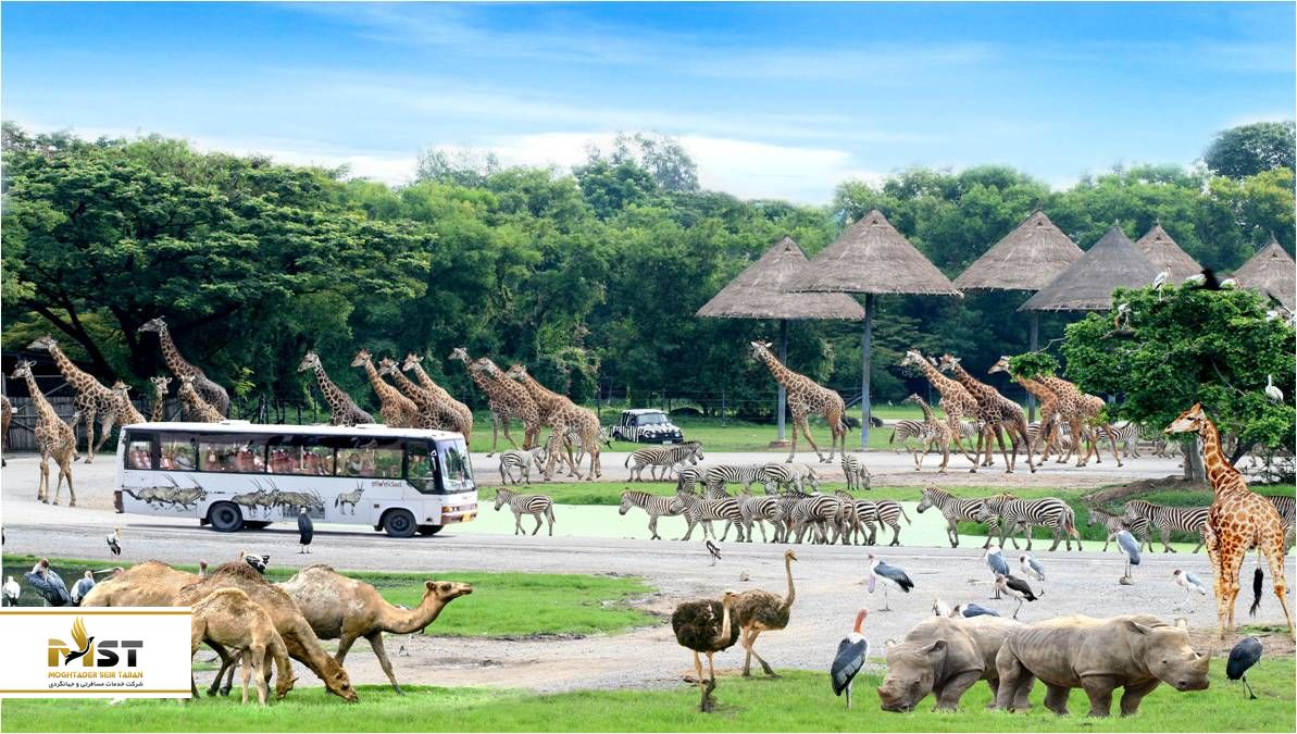 سافاری ورد در تایلند