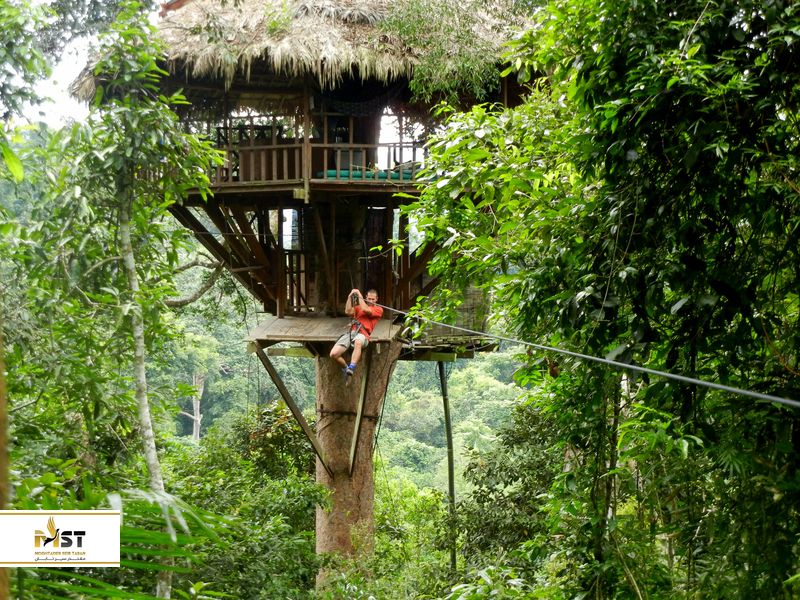 The Gibbon Experience