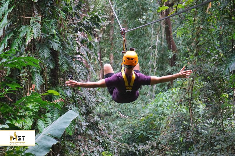 Flight of the Gibbon