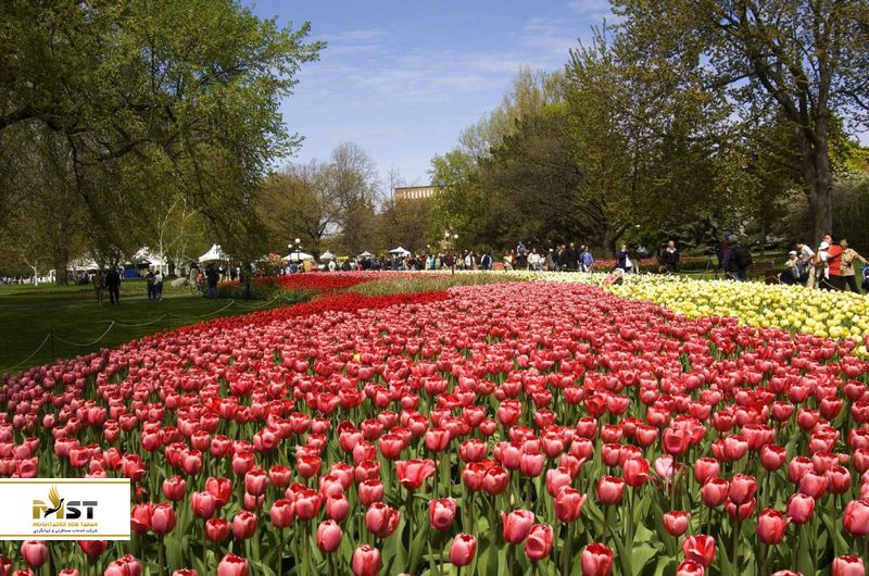 فستیوال لاله&zwnj;ی کانادایی