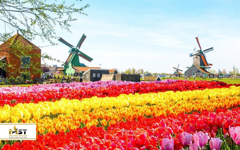 Keukenhof